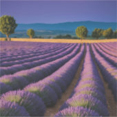 Lavendel Natuur Buitenlandschap Rustig Rustig Sticker (Voorkant)