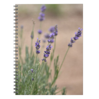 Lavendel Notitieboek/Dagboek Notitieboek