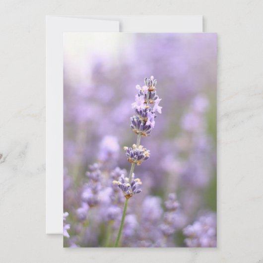 Lavendel Nuptials Kaart (Achterkant)