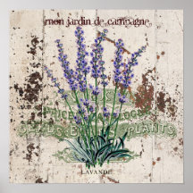 Lavendel op rustieke houten paneel