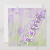 Lavendel • Opslag Bericht Aankondiging (Achterkant)