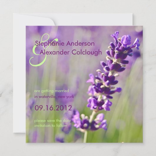 Lavendel • Opslag Bericht Aankondiging (Voorkant)