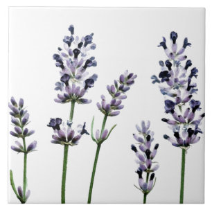 Lavendel   Pastel Paarse bloemen Tegeltje