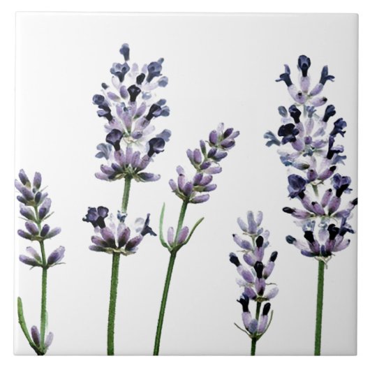 Lavendel | Pastel Paarse bloemen Tegeltje (Voorkant)