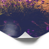 Lavendel Perfect Poster (Hoek)