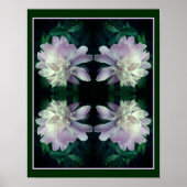 Lavendel pioenbloem in bloei Abstract Poster (Voorkant)