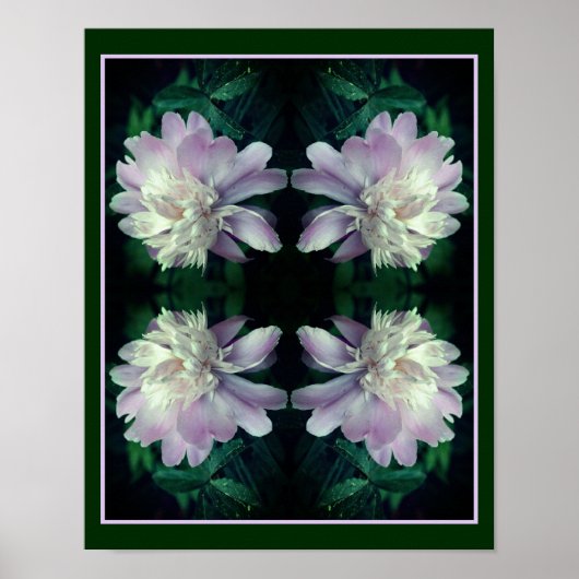 Lavendel pioenbloem in bloei Abstract Poster (Voorkant)