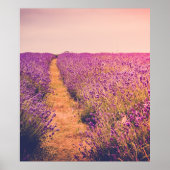 Lavendel Poster (Voorkant)