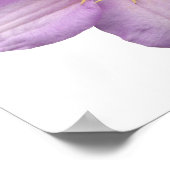 lavendel poster (Hoek)