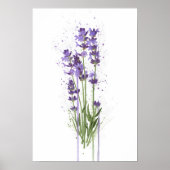 Lavendel Poster (Voorkant)