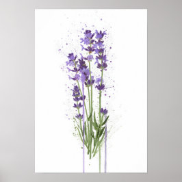 Lavendel Poster