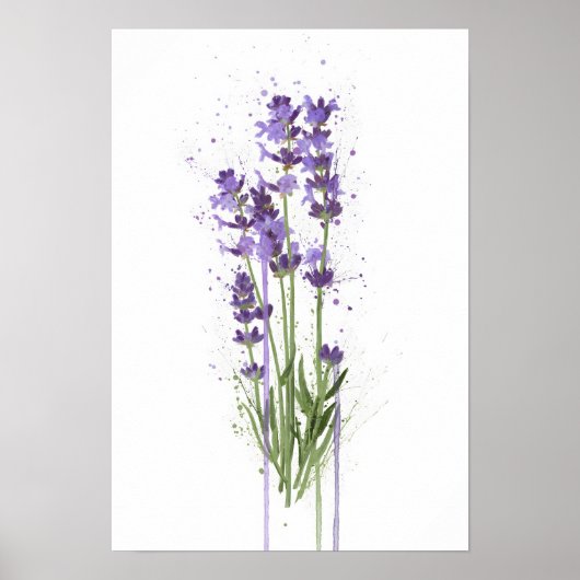 Lavendel Poster (Voorkant)