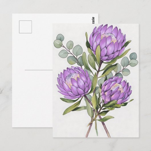 Lavendel Protea Botanisch Aquarel Briefkaart (Voorkant / Achterkant)