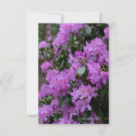 Lavendel Rhododendron Notitiekaartje