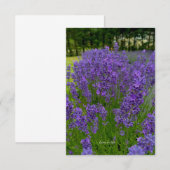 Lavendel Rij, Rij van bomen Notitiekaartje (Voorkant / Achterkant)