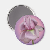 Lavendel Roos magneet (Voorkant / Achterkant)