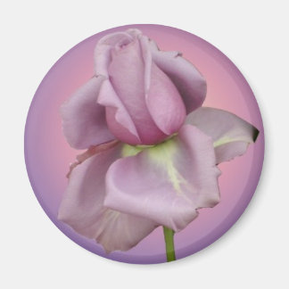 Lavendel Roos magneet