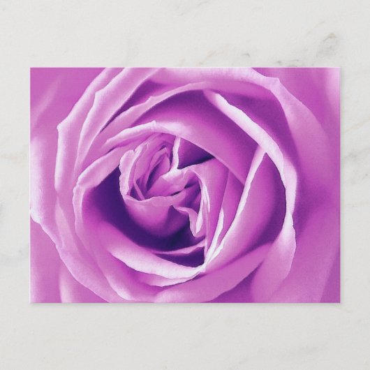 Lavendel roos print briefkaart (Voorkant)