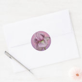 Lavendel roos sticker (Envelop)