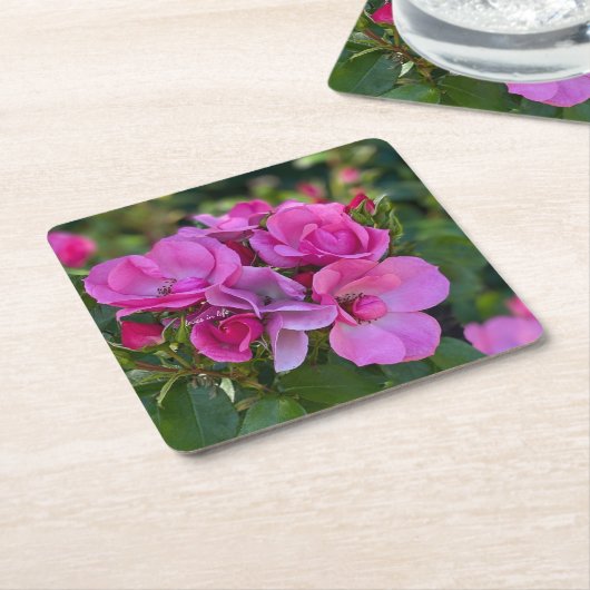 lavendel Roze Roos Kartonnen Onderzetters (Schuin)