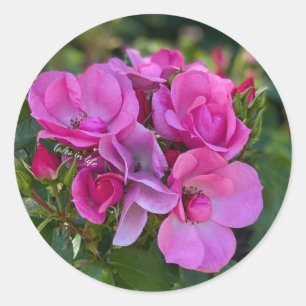 Lavendel Roze Roos Ronde Sticker