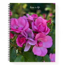 Lavendel Roze Rose Hardcover