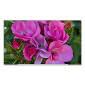 Lavendel Roze Rose Magnetisch Visitekaartje (Voorkant)