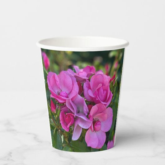 Lavendel Roze Rose Papieren Bekers (Achterkant)