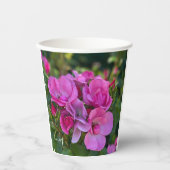 Lavendel Roze Rose Papieren Bekers (Voorkant)