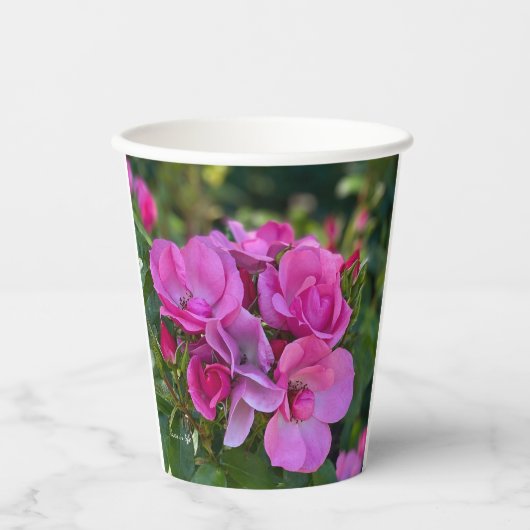 Lavendel Roze Rose Papieren Bekers (Voorkant)