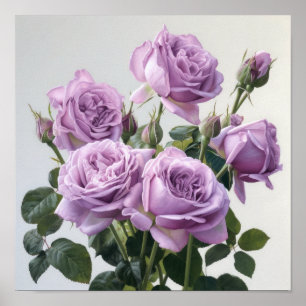 Lavendel Rozen Bloemenkunst Print Poster