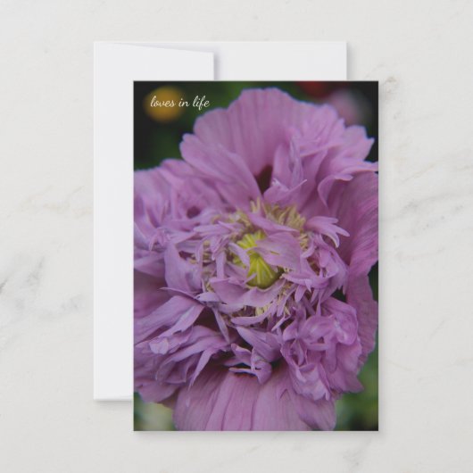 Lavendel Ruffly Poppy Notitiekaartje (Voorkant)