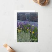 Lavendel & Santolina Planten Notitiekaartje (Voorkant / Achterkant in situ)