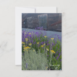 Lavendel & Santolina Planten Notitiekaartje