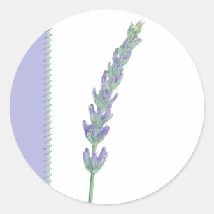 Lavendel Sprig Sticker
