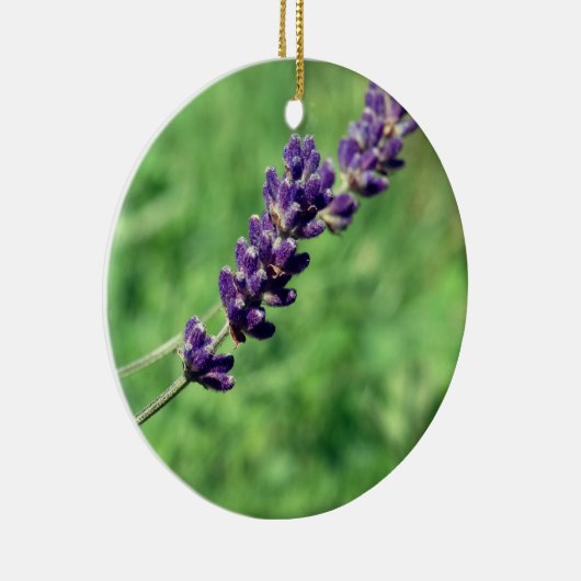 Lavendel Stalk Photo Circle Ornament (Rechts)