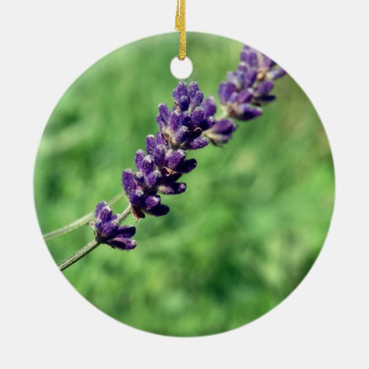Lavendel Stalk Photo Circle Ornament (Achterkant)