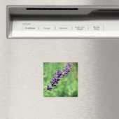 Lavendel Steel Foto Magneet (Insitu (Vaatwasser))