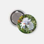 Lavendel Tall Bearded Iris Magnet (Voorkant / Achterkant)