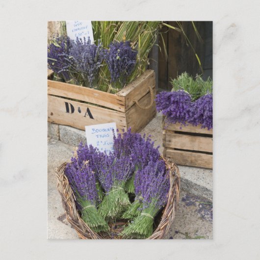 Lavendel te koop, Provence, Frankrijk Briefkaart (Voorkant)