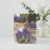 Lavendel te koop, Provence, Frankrijk Briefkaart (Staand voorkant)