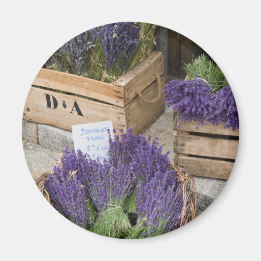 Lavendel te koop, Provence, Frankrijk Magneet (Voorkant)