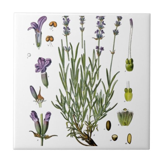 Lavendel Tegeltje (Voorkant)