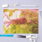 Lavendel Tissuepapier (Craft)