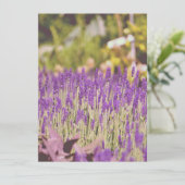 Lavendel Tuin Fotoprente (Staand voorkant)