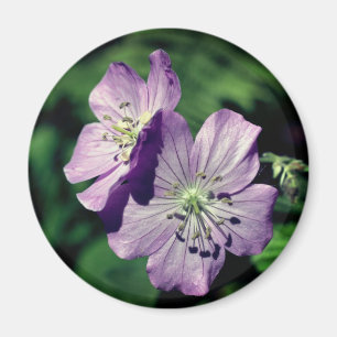 Lavendel Tweeling Geranium Bloem Fotografie Magneet