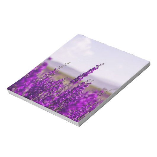 LAVENDEL VELD NOTITIEBLOK BRIEFPAPIER (Linkerzijde)