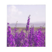 LAVENDEL VELD NOTITIEBLOK BRIEFPAPIER (Voorkant)