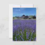 Lavendel Veld & Schuur Notitiekaartje (Voorkant)