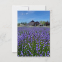 Lavendel Veld & Schuur Notitiekaartje